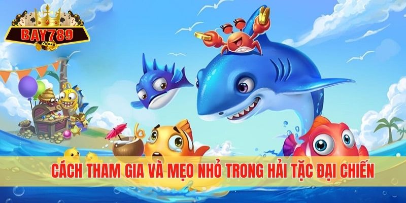 Cách tham gia và mẹo nhỏ trong Hải Tặc Đại Chiến